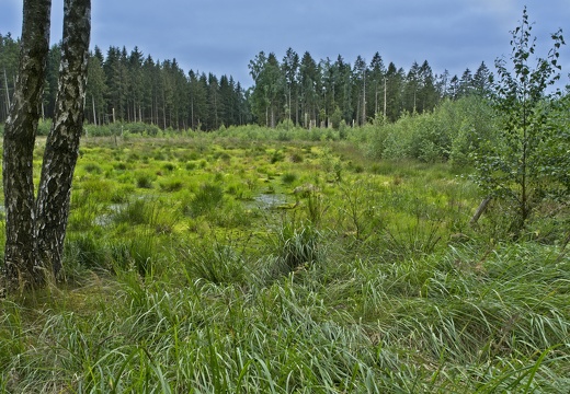 National Park